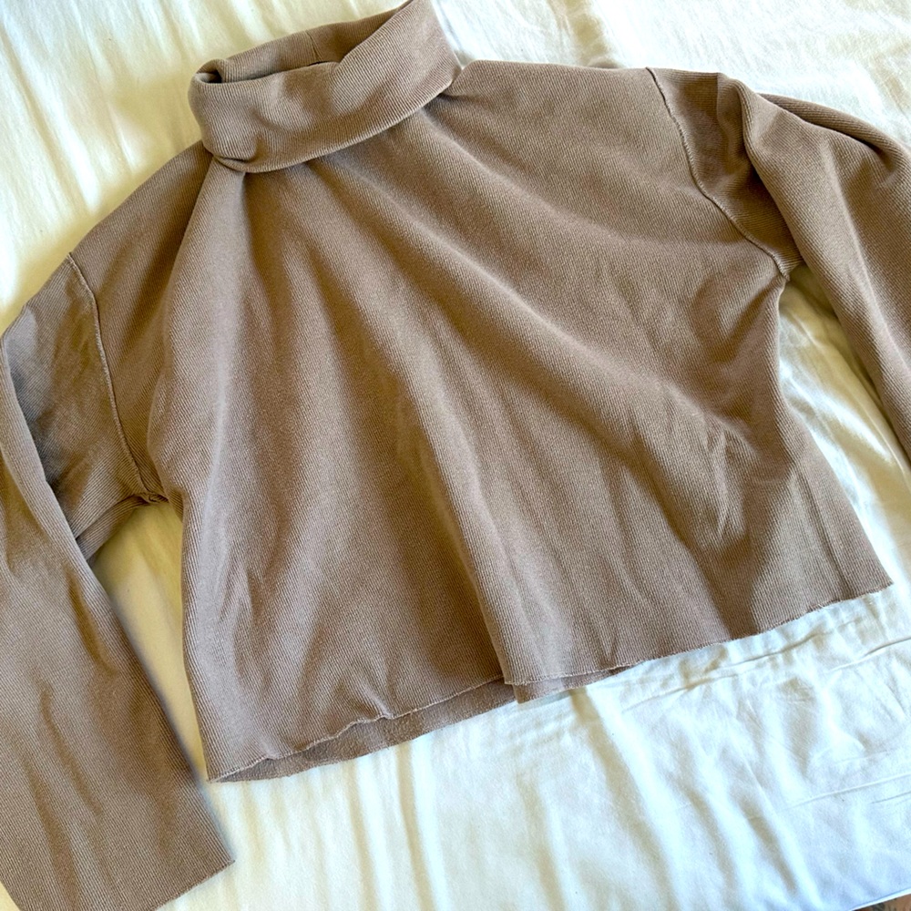 Zara cropped turtleneck